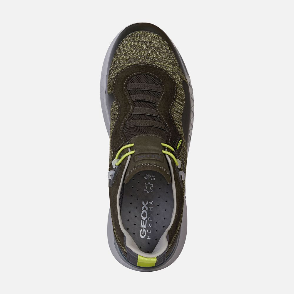 Basket Geox Levita - Vert Olive - Homme 241809-WSC